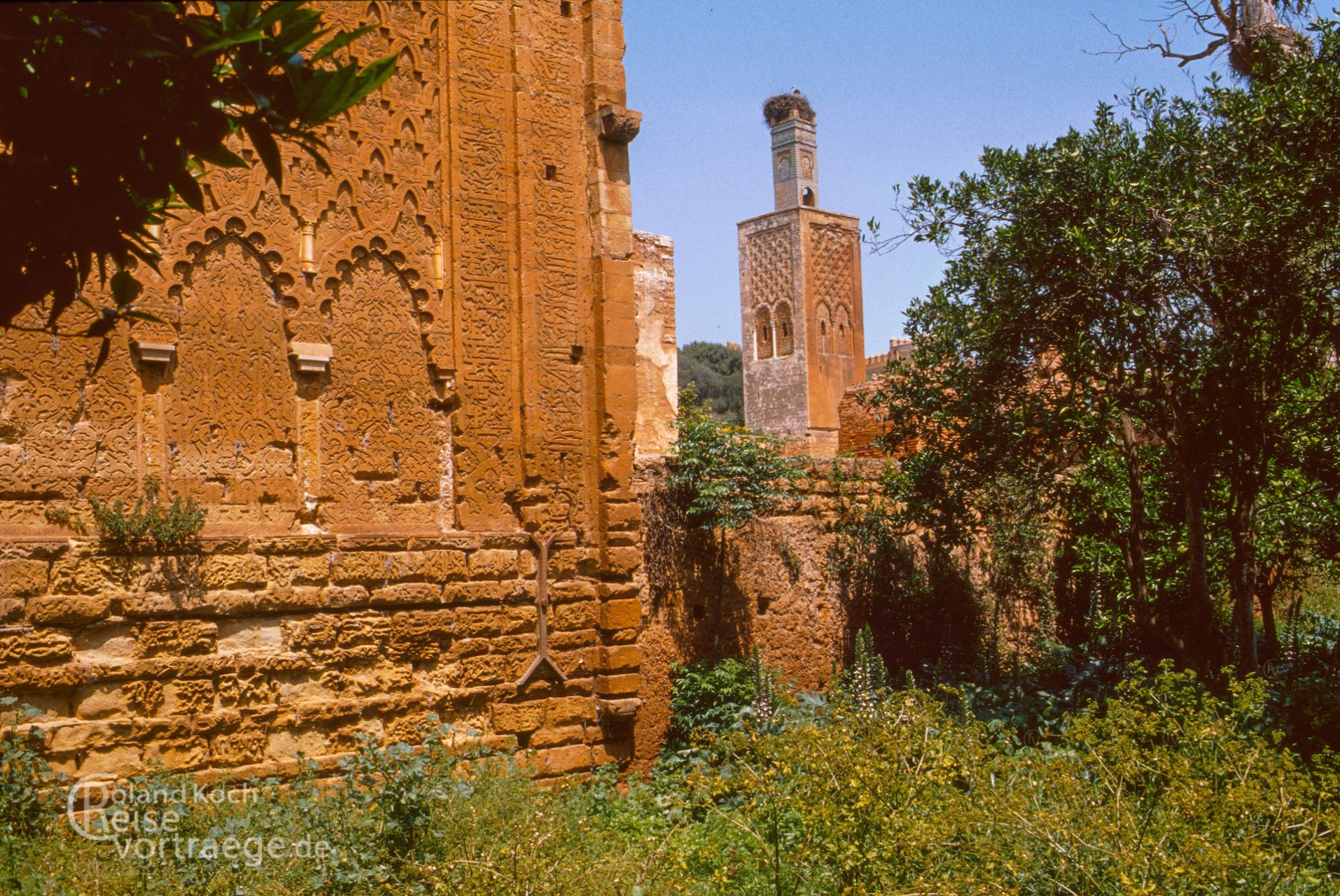 Cellah, mystical necropolis of Rabat
